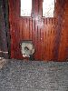 P4191071_.JPG