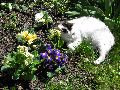 P4281077_.JPG