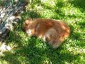P5011083_.JPG