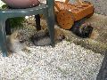 P7051262_.JPG