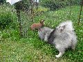 P7261309_.JPG