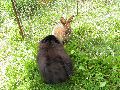 P7261312_.JPG