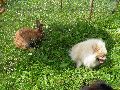 P7261313_.JPG