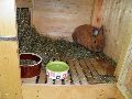 P8091326_.JPG