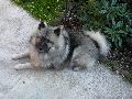 P8121333_.JPG