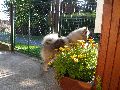 P8121343_.JPG