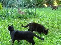 P9091383_.JPG