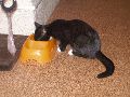 P9160189_.JPG