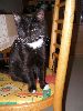 P9160194_.JPG