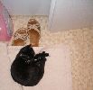P9160196_.JPG