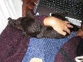 P9160198_.JPG