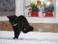 P9190208_.JPG